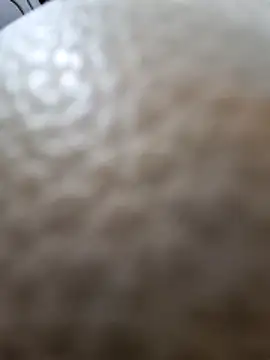 Kamarasa69 online show from 18, 12, 2025