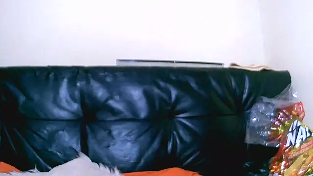 Bustypillows online show from 10, 7, 2026
