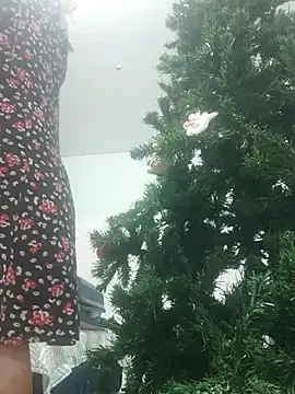 VitaIity online show from 7, 11, 2025