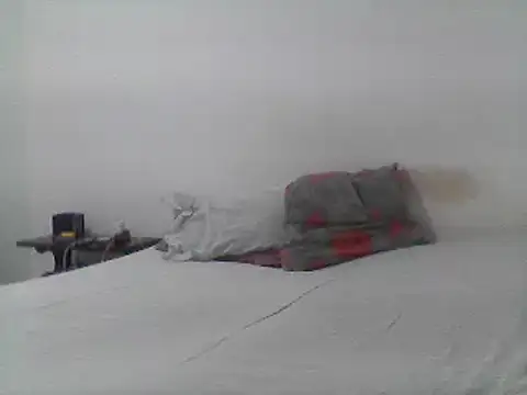 mariy  online show from 20, 3, 2025