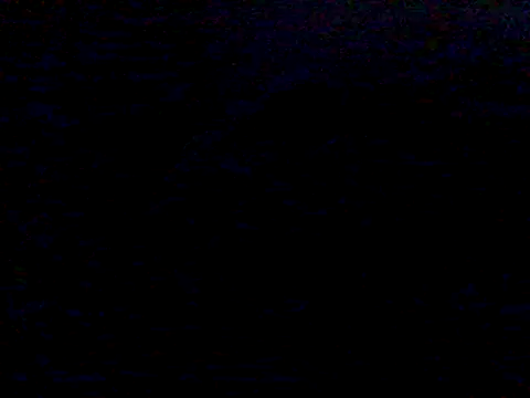 mariy  online show from 23, 3, 2025