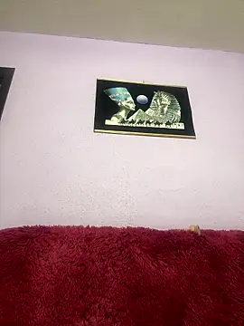 MikyVesela online show from 9, 1, 2026