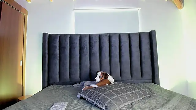 paulina soto online show from 16, 11, 2025