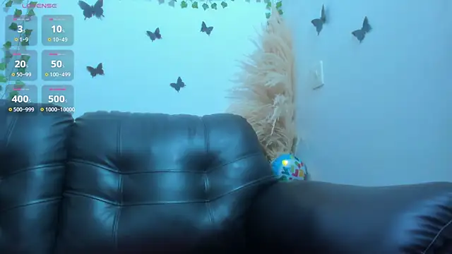 Amani Bakir online show from 14, 3, 2026