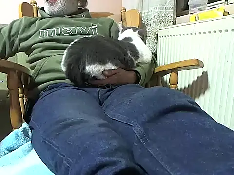 zormen355 online show from 13, 11, 2025