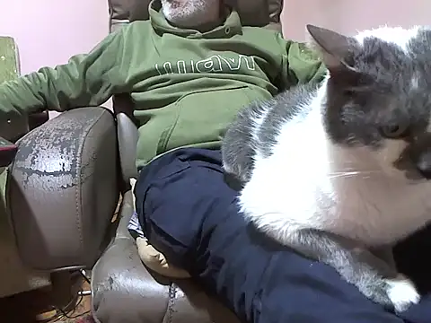 Snapshot of zormen355 chatting on 3, 4, 2026 zormen355 online show from 3, 4, 2026