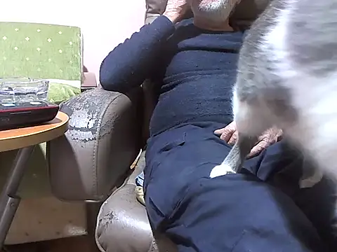 Snapshot of zormen355 chatting on 7, 4, 2026 zormen355 online show from 7, 4, 2026