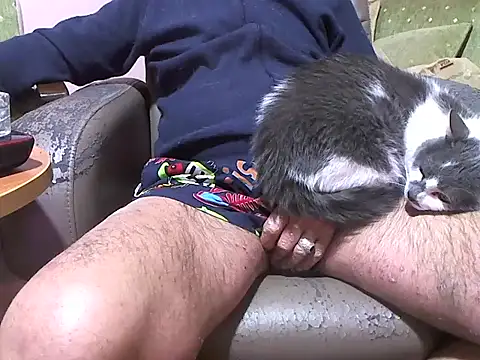 Snapshot of zormen355 chatting on 8, 4, 2026 zormen355 online show from 8, 4, 2026