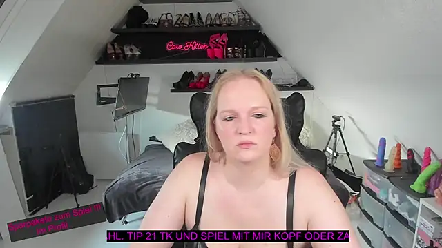 caro kitten online show from 17, 1, 2026