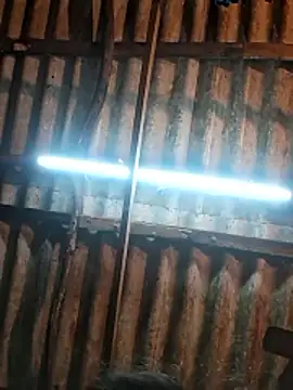 HotSexyBoudi online show from 9, 1, 2026