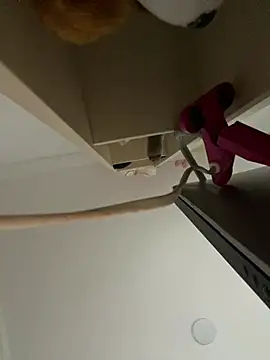 Snapshot of Kimmymadison- chatting on 13, 2, 2026 Kimmymadison- online show from 13, 2, 2026