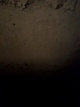 Snapshot of camila_picante chatting on 31, 3, 2026 camila picante online show from 31, 3, 2026