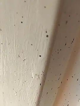 Snapshot of camila_picante chatting on 4, 4, 2026 camila picante online show from 4, 4, 2026