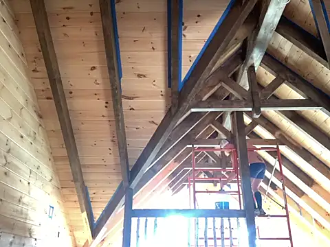 trash4cash online show from 3, 1, 2025