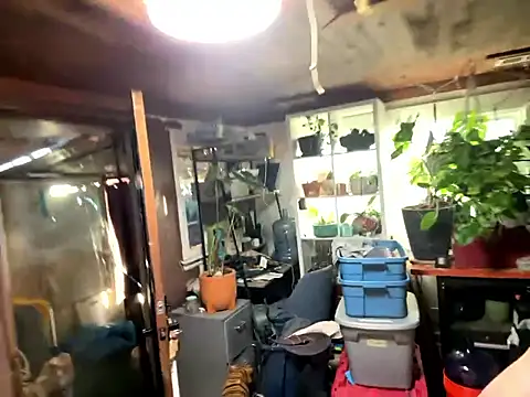 trash4cash online show from 13, 1, 2026