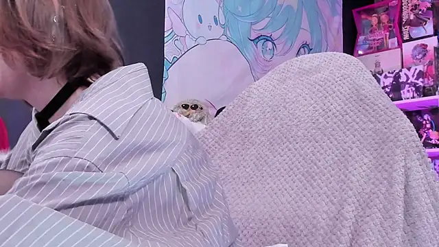 Supaidagaru online show from 14, 4, 2026