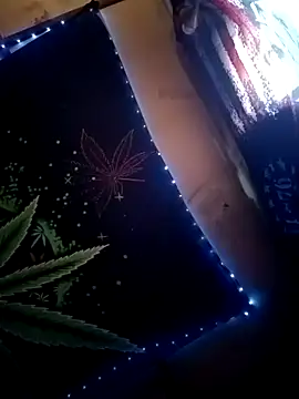 ySqmbVanbe online show from 31, 1, 2026