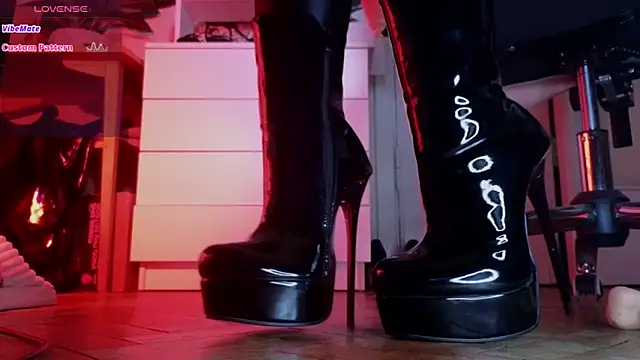  owner online show from 2, 12, 2025