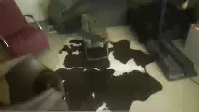 oopsxx online show from 22, 12, 2025