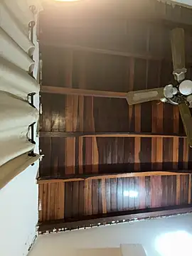 Snapshot of tom_thick chatting on 11, 3, 2025 tom thick online show from 11, 3, 2025