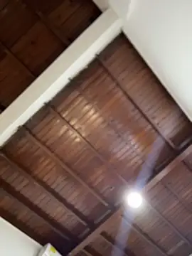 emiss  online show from 6, 1, 2026