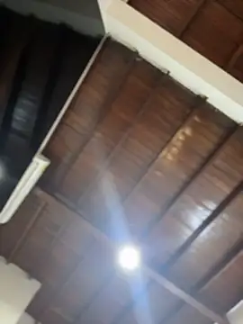 emiss  online show from 14, 1, 2026