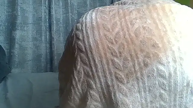 Fine assie online show from 29, 4, 2026