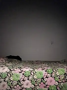 Snapshot of Sexygarl1024 chatting on 8, 10, 2025 Sexygarl1024 online show from 8, 10, 2025