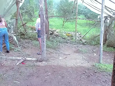 tayiro r online show from 15, 11, 2025