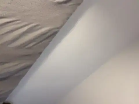 bigjazza29 online show from 2, 2, 2026