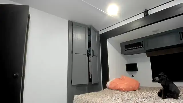 Persiasparadise online show from 16, 2, 2026