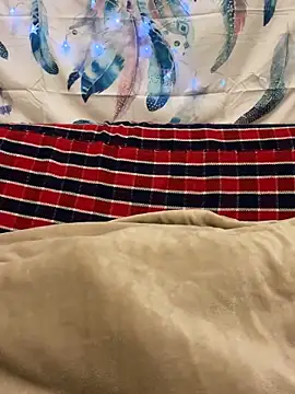 Snapshot of A6229 chatting on 11, 1, 2025 A6229 online show from 11, 1, 2025