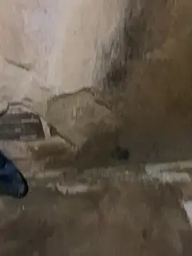 Snapshot of s1437jdjjddjjshbx chatting on 9, 3, 2025 s1437jdjjddjjshbx online show from 9, 3, 2025