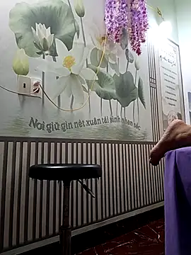 zizi public online show from 11, 11, 2025