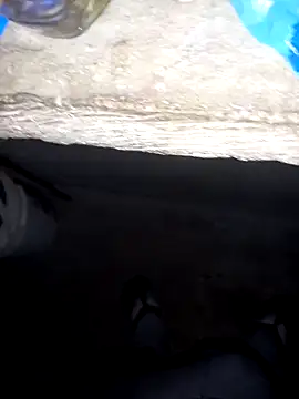 pujarteag online show from 8, 4, 2026