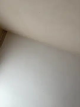 rpotktkkt online show from 20, 11, 2025