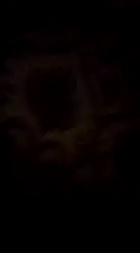 WreckedCrop online show from 2, 3, 2025