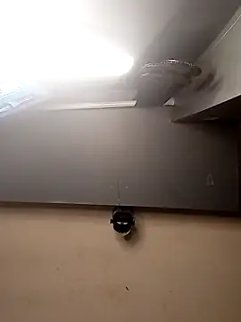 AmazonianMistress online show from 1, 12, 2025