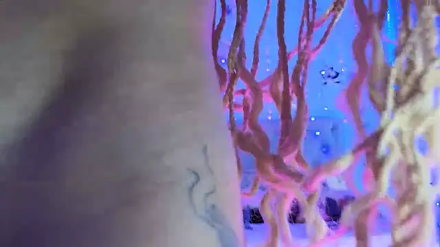 gabbiefoxthx online show from 1, 2, 2025