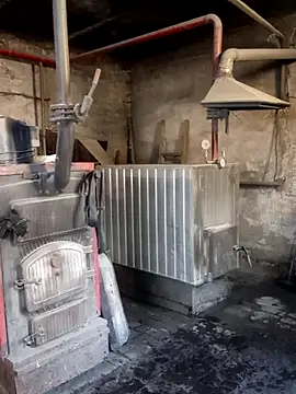 MityaXLoves online show from 5, 4, 2026