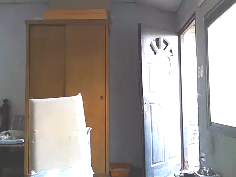 nicedick bro online show from 19, 1, 2025