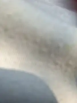 Priya Bong online show from 25, 2, 2026