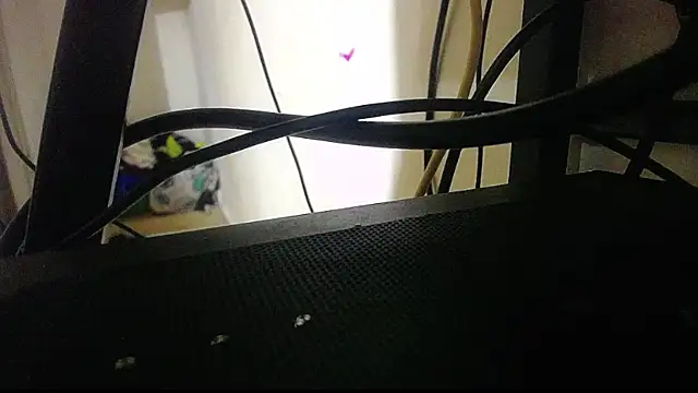 harry lia  online show from 5, 11, 2025