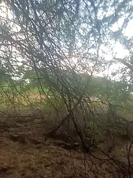 Snapshot of lovesuna chatting on 30, 9, 2025 lovesuna online show from 30, 9, 2025