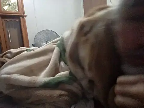 Snapshot of Xoc8_ chatting on 14, 2, 2026 Xoc8 online show from 14, 2, 2026