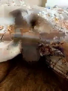 Hard stick007 online show from 16, 1, 2026