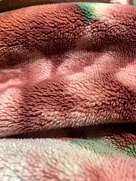 Gengista88 online show from 4, 2, 2026