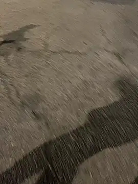 Snapshot of ToAnWTW chatting on 24, 2, 2026 ToAnWTW online show from 24, 2, 2026