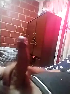 Snapshot of Elvergon3456 chatting on 9, 12, 2024 Elvergon3456 online show from 9, 12, 2024