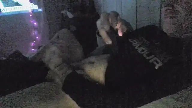 jaxx12369 online show from 5, 12, 2025